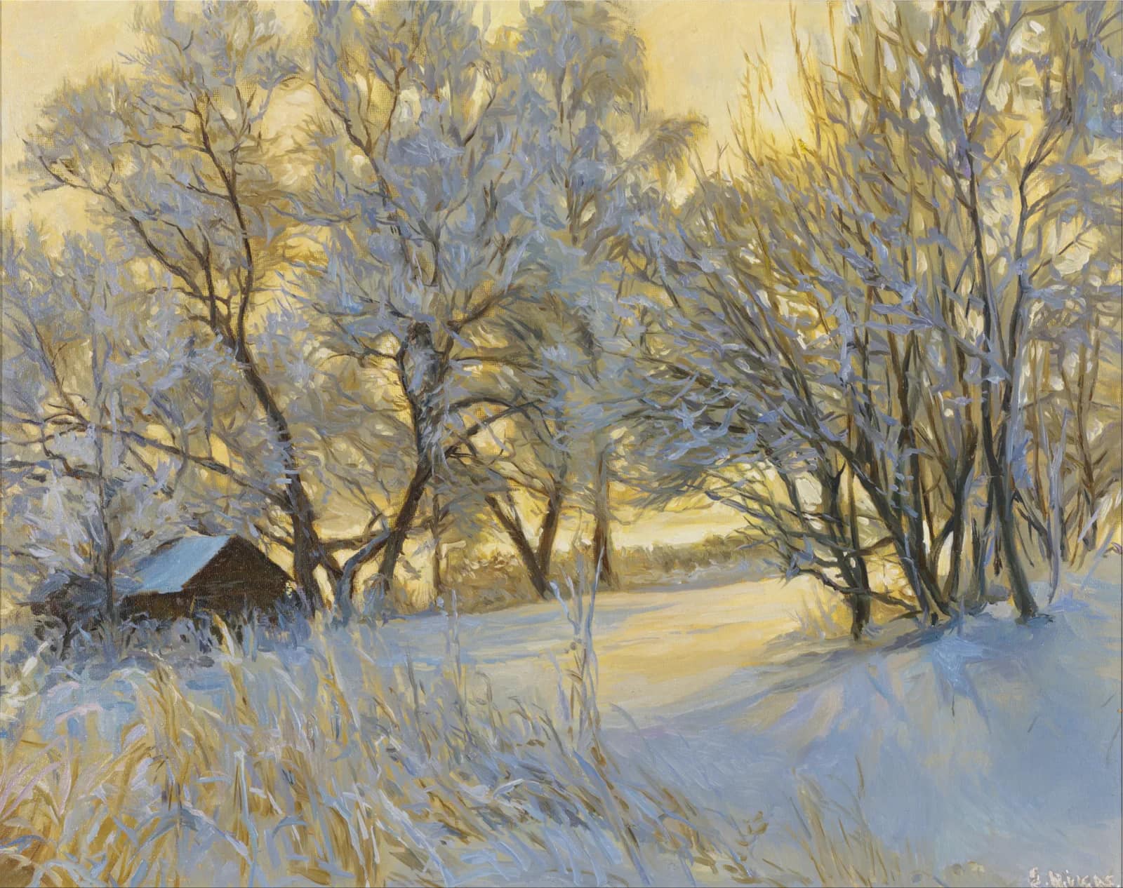 Солнце на снегу