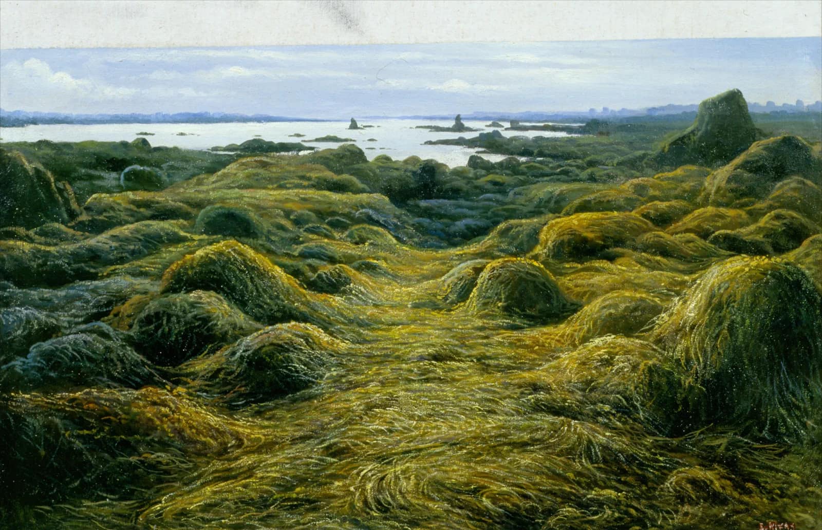 Отлив где-то в Шотландии